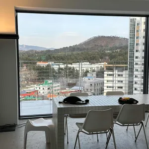 베이크오이 사진