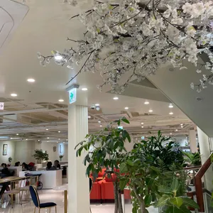 베어빈스카페 리뷰 사진