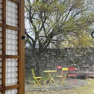금레당 리뷰 사진