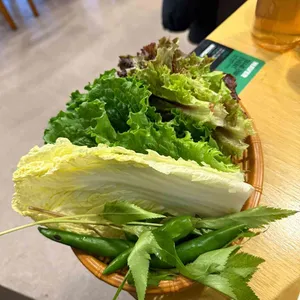 국생돈 사진