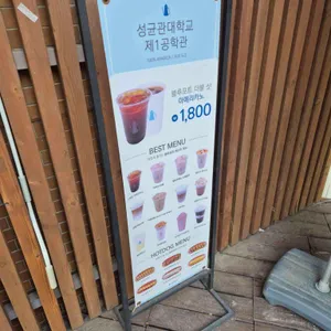 블루포트 리뷰 사진