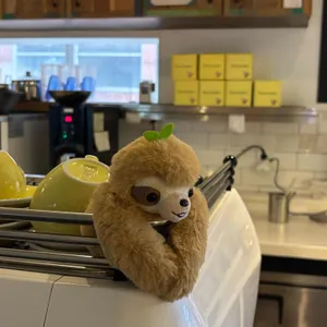 이터널선샤인 대표 사진