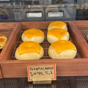 쿠도스 사진