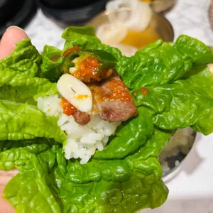 돈백꽃 사진