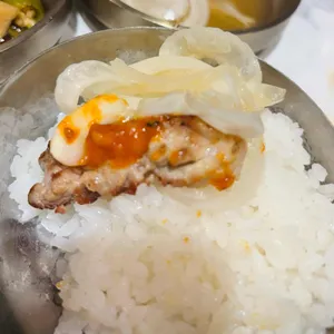 돈백꽃 사진