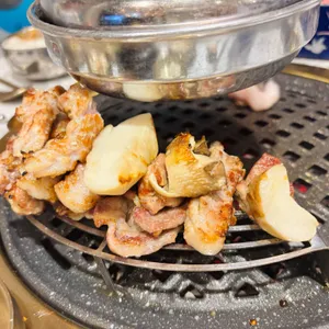 돈백꽃 사진
