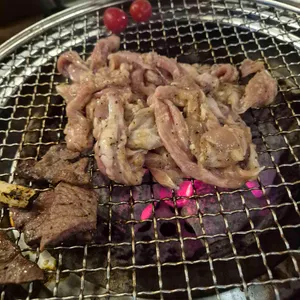 소우데스 사진