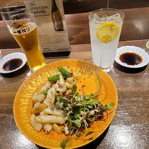 히비 사진