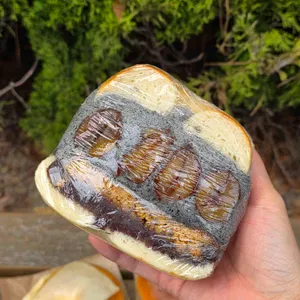 리틀베이글 사진