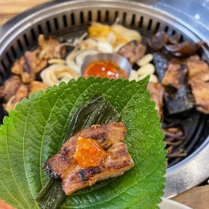 배때지 사진