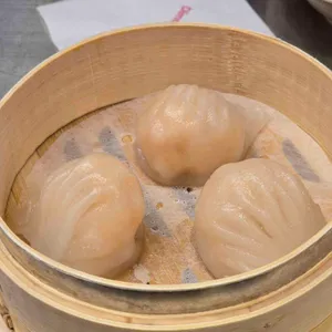 딤섬가이즈 사진