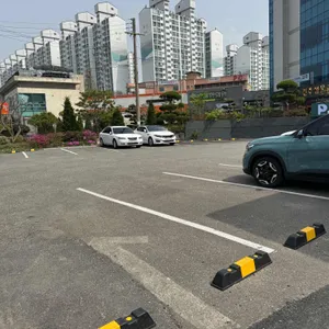 샤브올데이 리뷰 사진