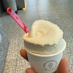 순두부젤라또 사진