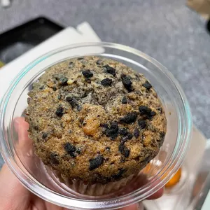 9.5머핀 사진