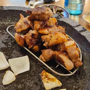 제주꽃돼지 사진