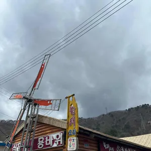 용바위식당 리뷰 사진