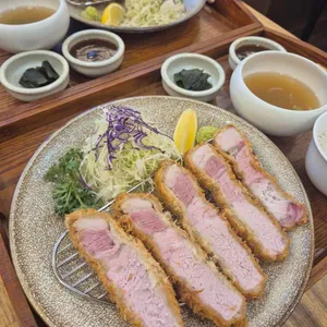테키온 사진