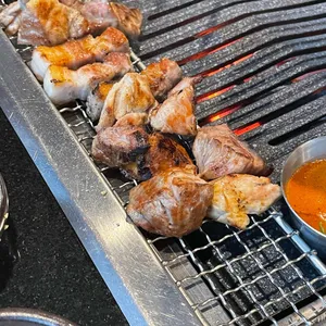 일념돼지 사진