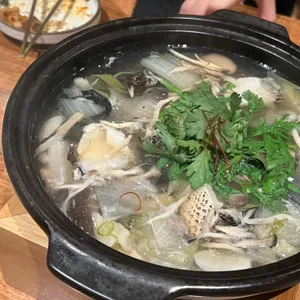 Gongi 사진
