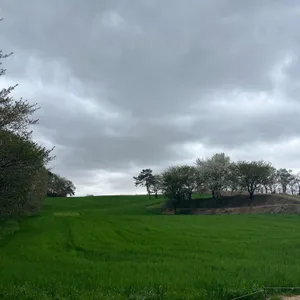 카페 피어라 사진 1