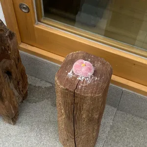 자이소 리뷰 사진
