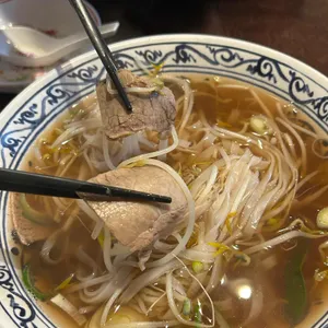 포로이 사진