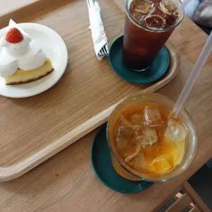 코이크 사진
