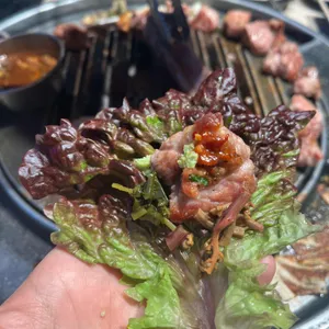 숙성도 사진