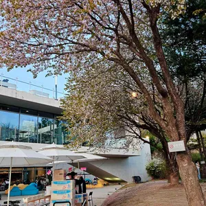 가드너스 리뷰 사진