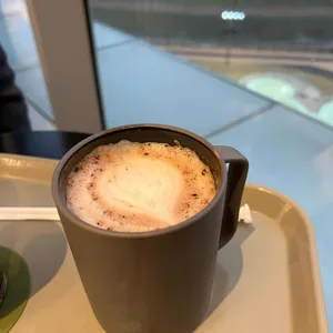 엔제리너스 사진