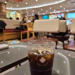 팀홀튼 사진