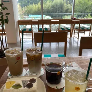 프루터리 포레스트 사진