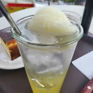 파인즈 사진