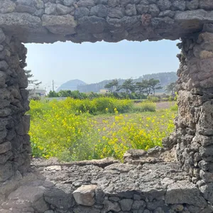 휴일로 리뷰 사진