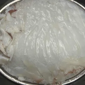 오징어데이 사진