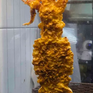 오짱 리뷰 사진