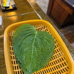역북동물고기 리뷰 사진