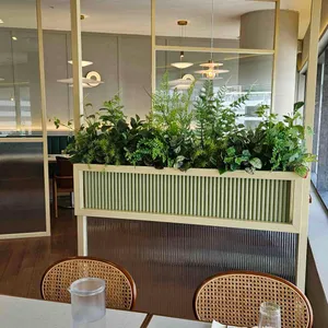 닥터로빈 리뷰 사진