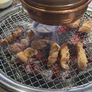 욜로 사진