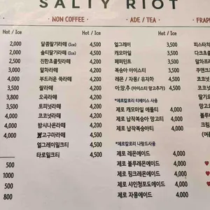 솔티라이엇 리뷰 사진