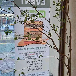 솔티라이엇 리뷰 사진