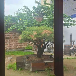맨션5 리뷰 사진