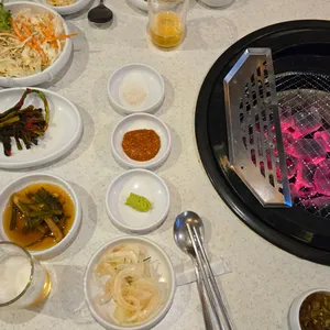 강동갈빗살 사진