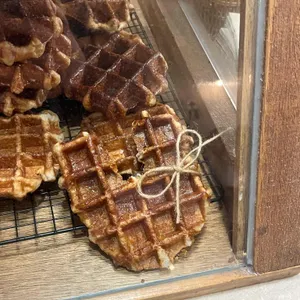 미스틱래빗 사진