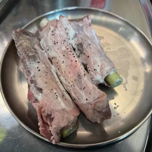 탄천갈매기  사진