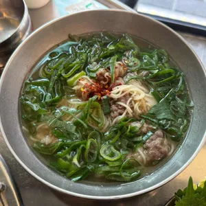 탄천갈매기  사진