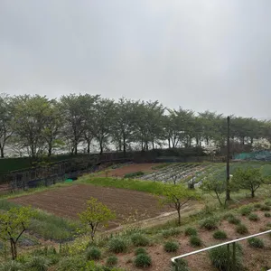 선유도원 리뷰 사진