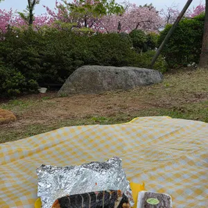 김면장 사진