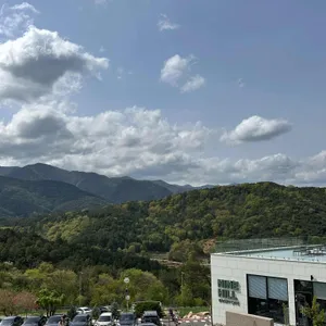 나인힐 베이커리 카페 리뷰 사진