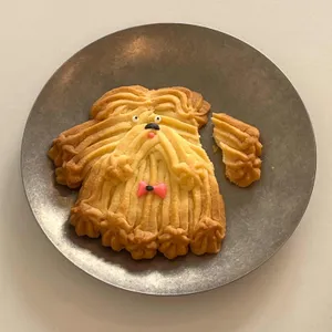 아오리 사진
